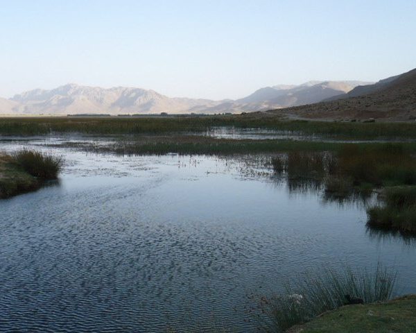 تالاب بین‌المللی گندمان