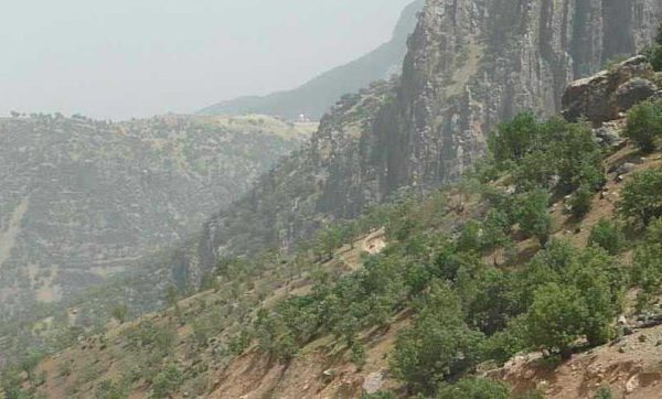 طبیعت گندمان